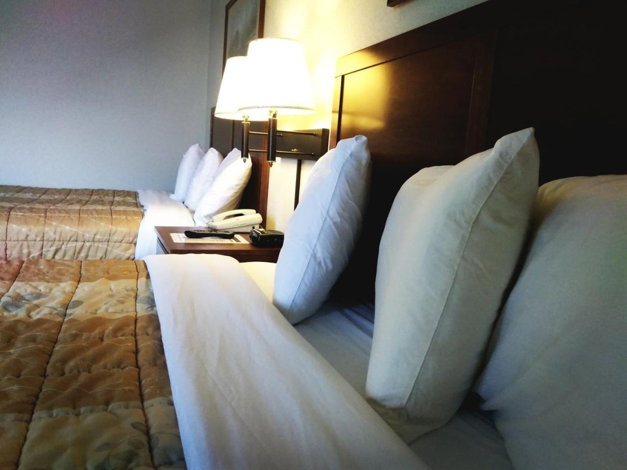 Madelia Hotel & Suites Extérieur photo